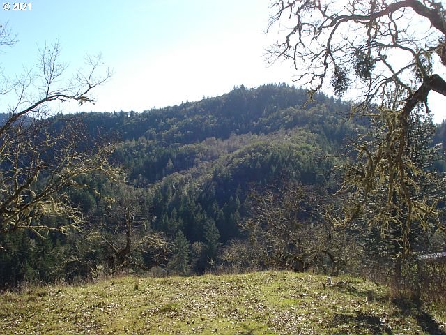 4466 Clarks Branch Road Myrtle Creek, OR 97457 - Photo 7 of 13 Gallery Image 7