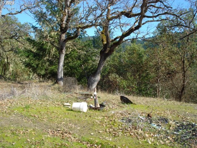 4466 Clarks Branch Road Myrtle Creek, OR 97457 - Photo 9 of 13 Gallery Image 9