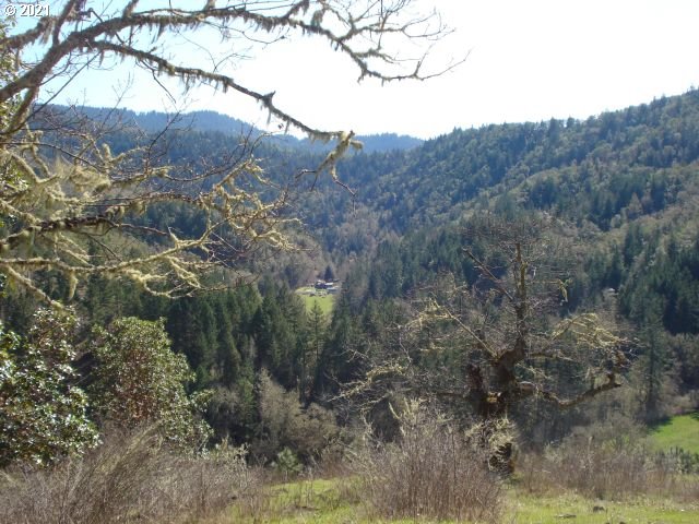 4466 Clarks Branch Road Myrtle Creek, OR 97457 - Photo 10 of 13 Gallery Image 10