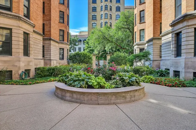 a view of a garden with potted plants