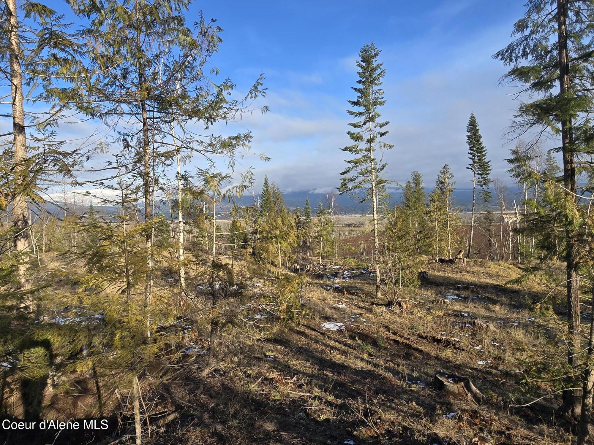 3 West Bonners Ferry Bonners Ferry, ID 83805 - Photo 3 of 5 027