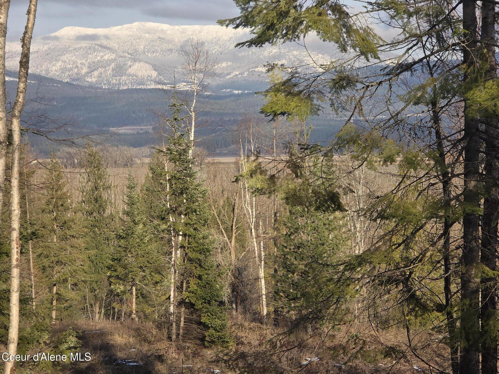 3 West Bonners Ferry Bonners Ferry, ID 83805 - Photo 4 of 5 025