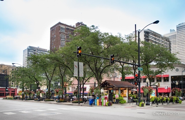 1030 North State Street, Unit 40G Chicago, IL 60610 - Photo 20 of 20 a view of a street with a building and a street light