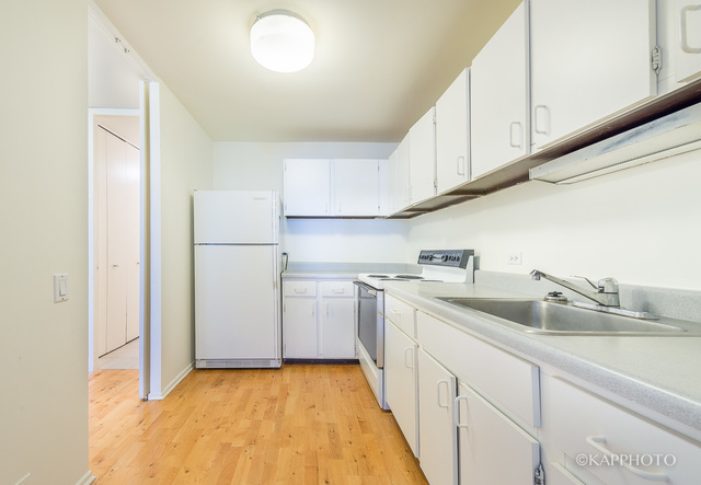 1030 North State Street, Unit 40G Chicago, IL 60610 - Photo 5 of 20 a kitchen with a sink a refrigerator and cabinets