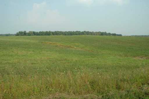 Fry Road Franklin, TN 37064 - Photo 3 of 5 Other.
