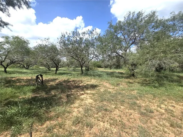 $169,999 | 584 Cr 223, Concepcion, TX 78349