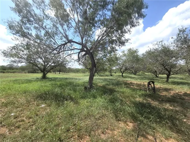 $169,999 | 584 Cr 223, Concepcion, TX 78349