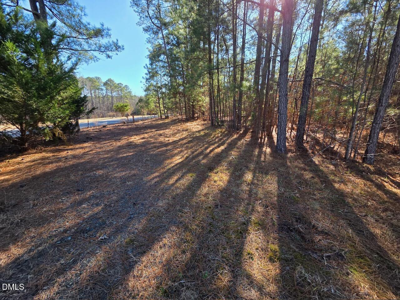 1061 Rogers Quarter Road Creedmoor, NC 27522 - Photo 2 of 11 a view of road with trees