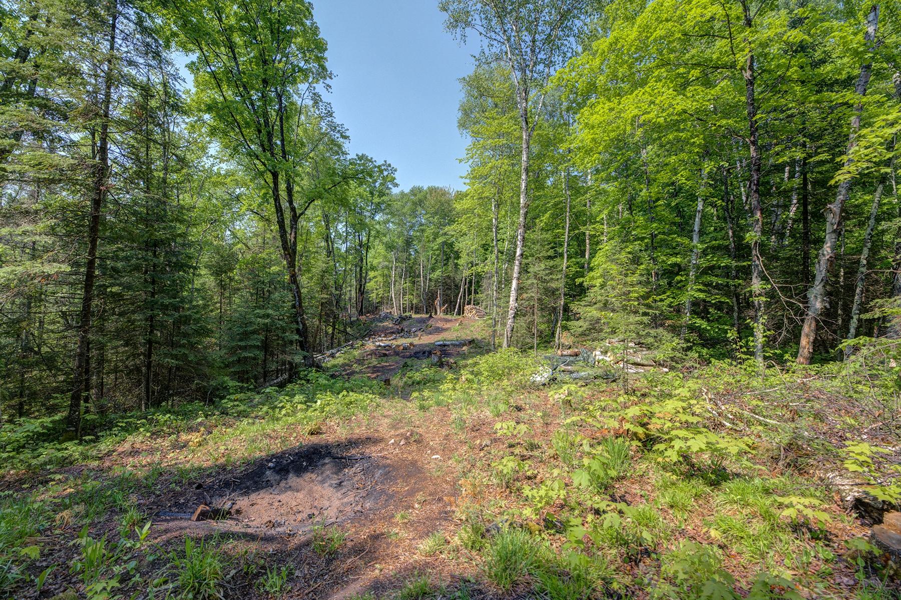Lot 24 Gemstone Road Presque Isle, WI 54557 - Photo 2 of 23 Gallery Image 2