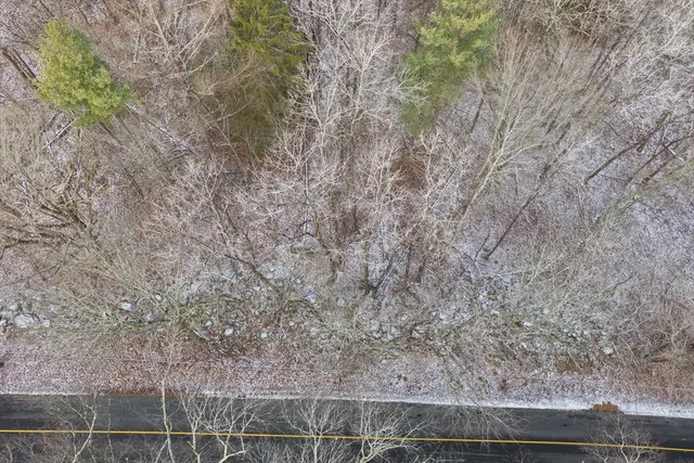 a view of a city with lush green forest