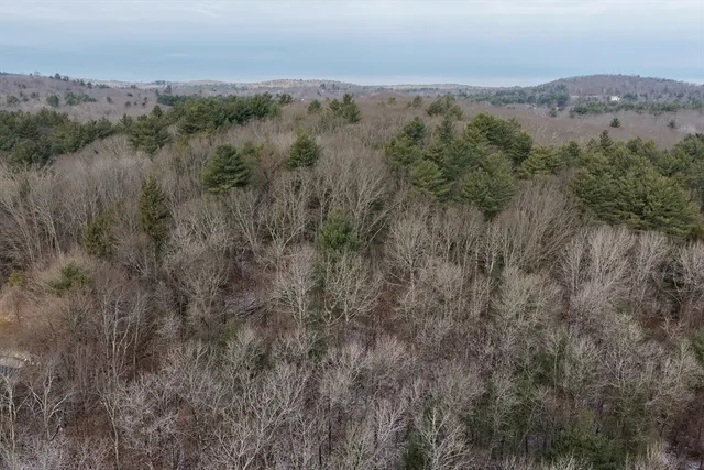 an aerial view of forest