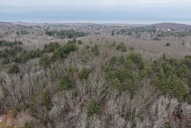 a view of a big yard with a mountain