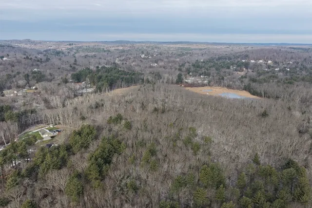 a view of a big yard with lots of trees