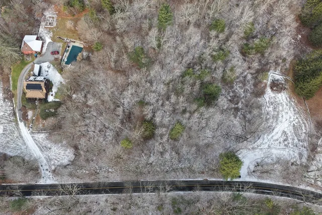 a view of a dry yard with trees