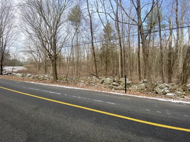 a view of a street with a large tree