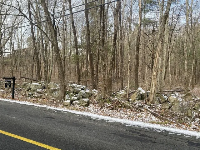a view of a yard with a large tree