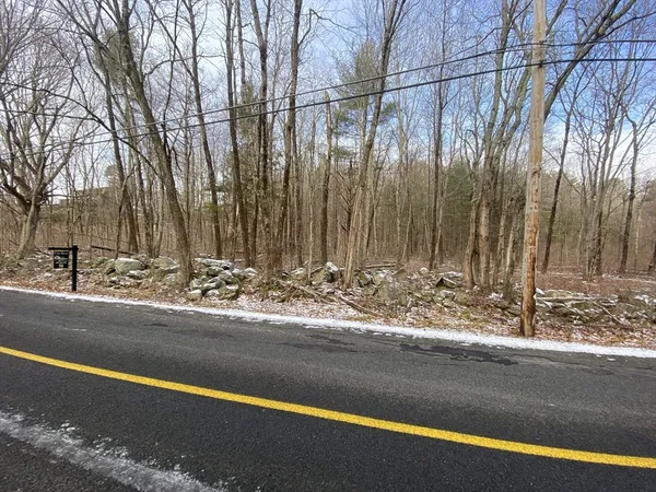 a view of a dry yard