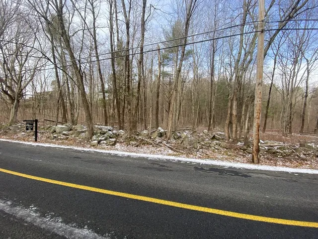 a view of a dry yard