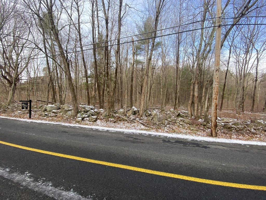 0 Oxbow Road Charlton, MA 01507 - Photo 8 of 18 a view of a yard with a large tree