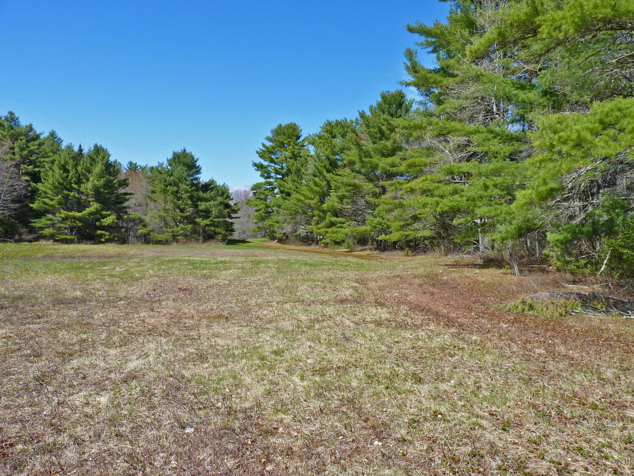 354 Bucksport Road Ellsworth, ME 04605 - Photo 34 of 35 5c