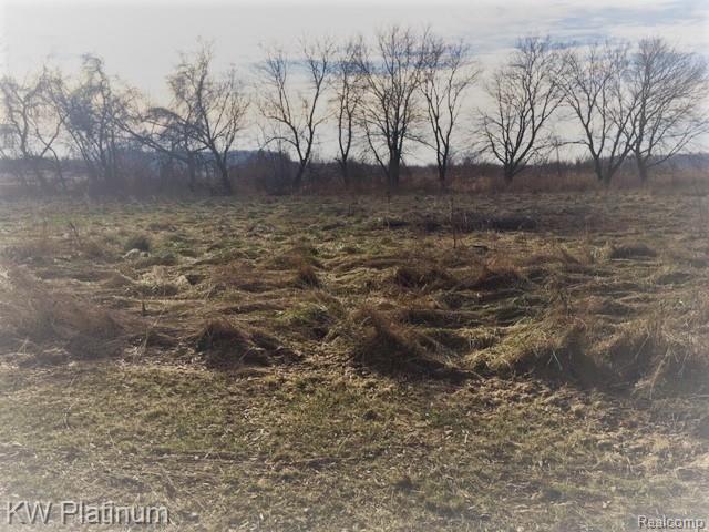 5209 McIntyre Road North Street, MI 48049 - Photo 26 of 26 backyard.jpg