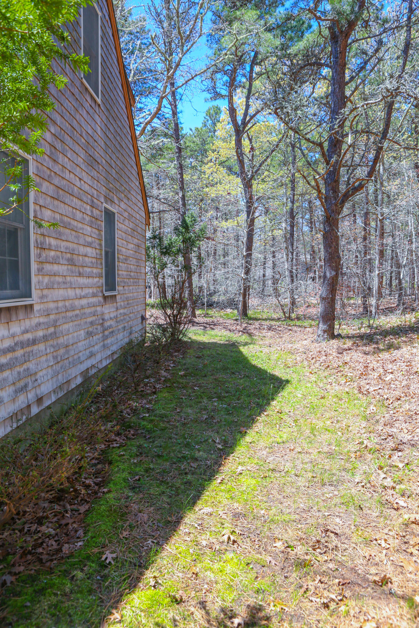 1005 Browns Neck Road Wellfleet, MA 02667 - Photo 33 of 36 00001392
