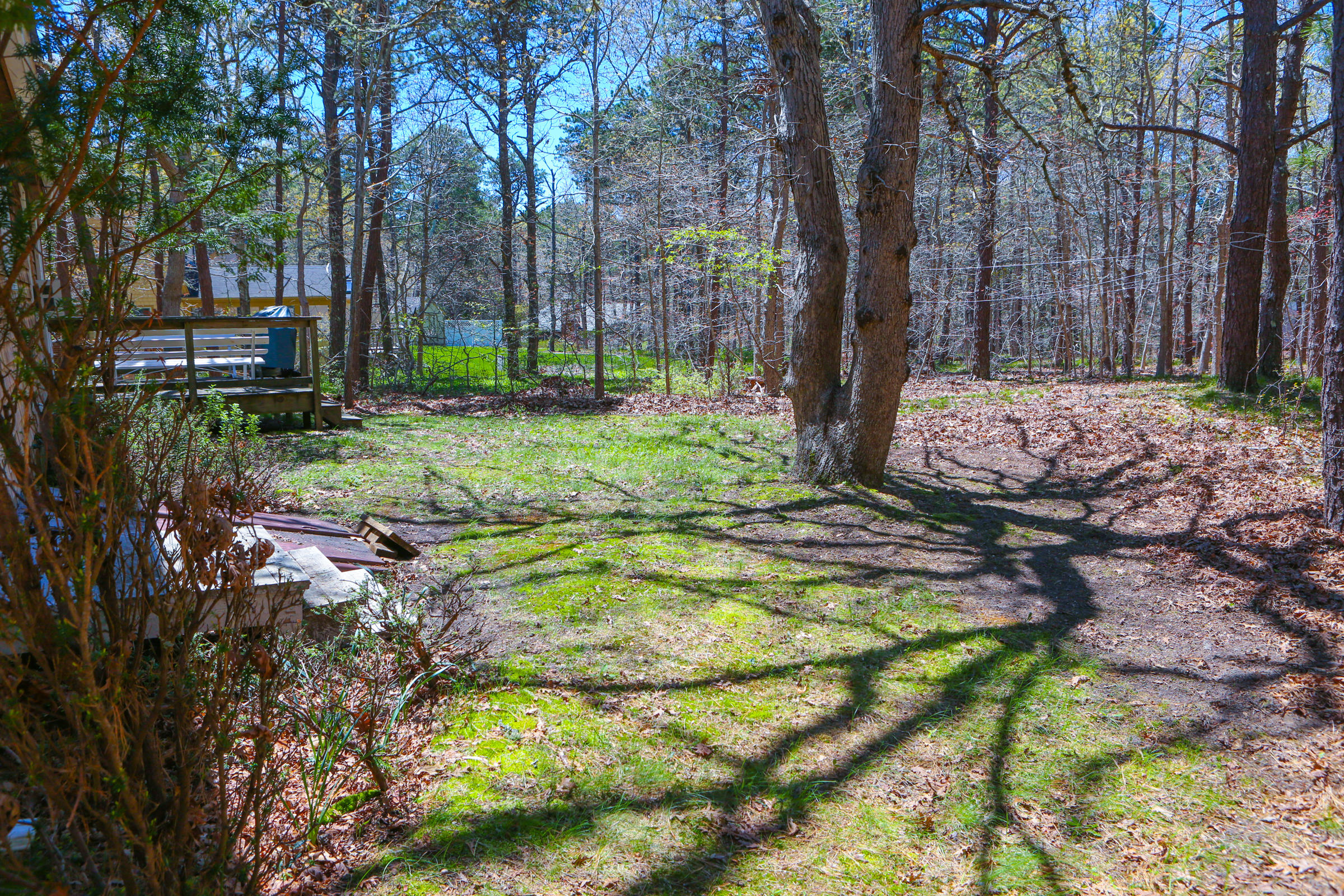 1005 Browns Neck Road Wellfleet, MA 02667 - Photo 7 of 36 00001393