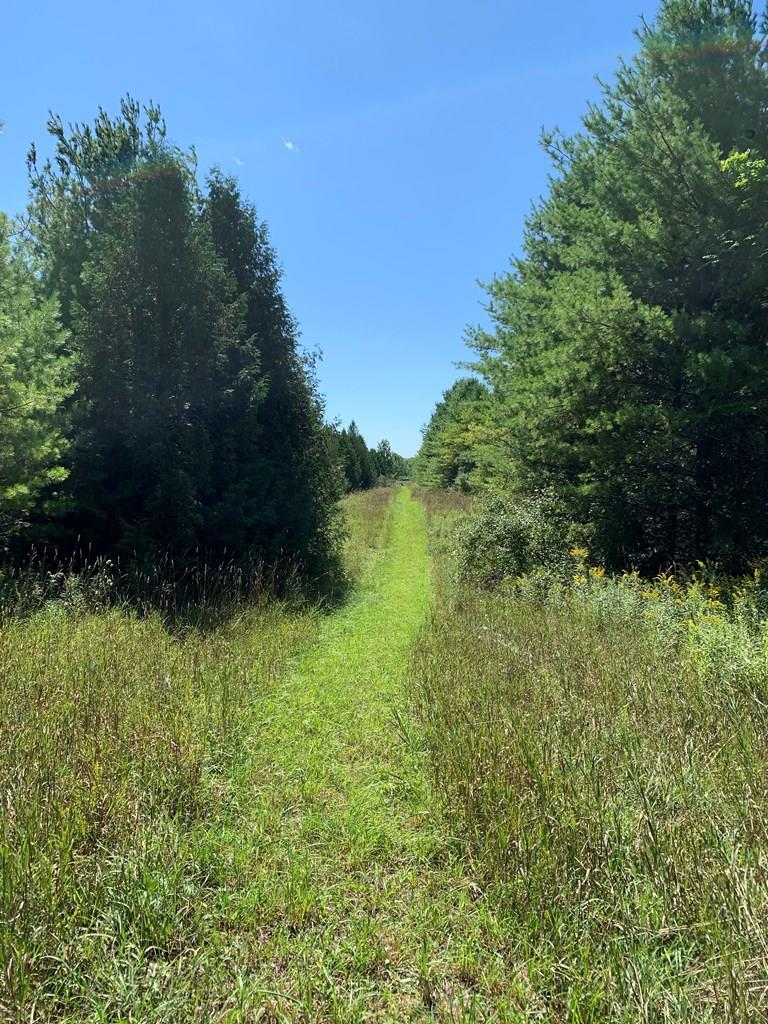 Lot 4 Plum Bottom Road Egg Harbor, WI 54209 - Photo 1 of 1
