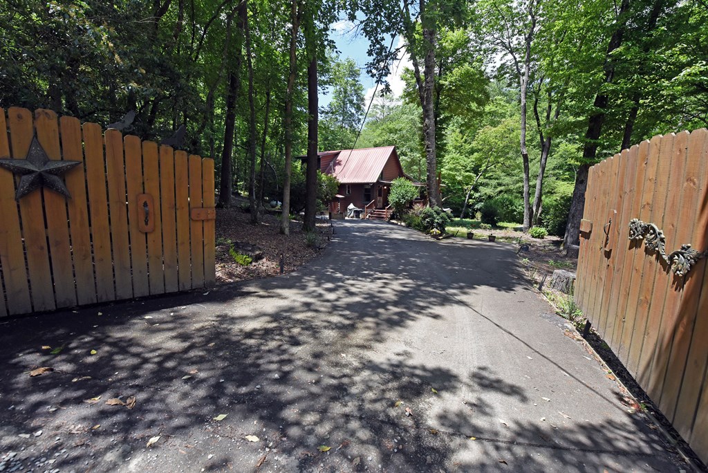 789 Old Mill Pond Road Mineral Bluff, GA 30559 - Photo 11 of 59 a view of a backyard with potted plants and large tree