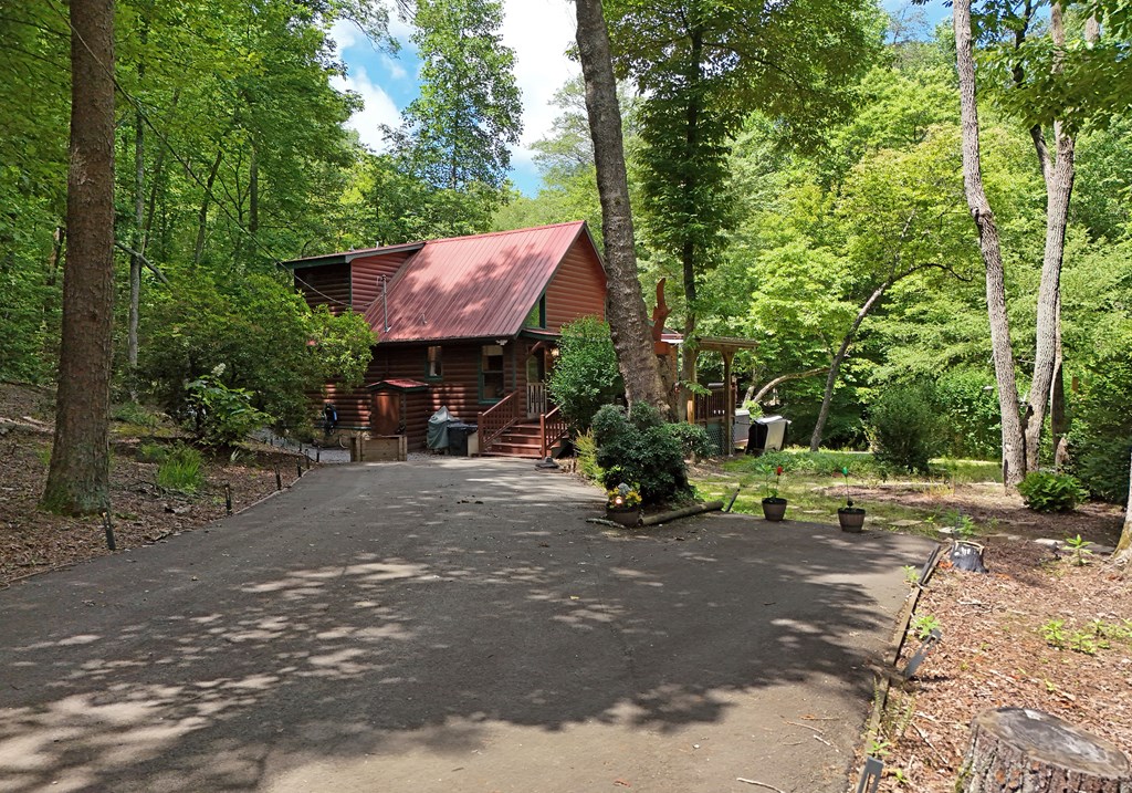 789 Old Mill Pond Road Mineral Bluff, GA 30559 - Photo 12 of 59 a view of a house with a yard and tree s