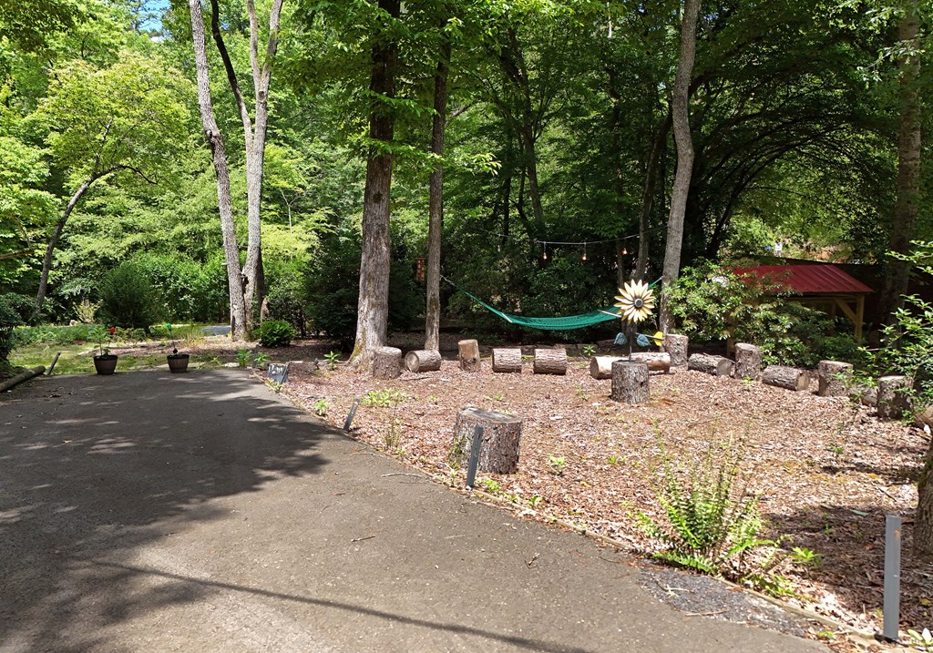 789 Old Mill Pond Road Mineral Bluff, GA 30559 - Photo 28 of 59