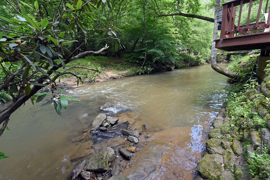 789 Old Mill Pond Road Mineral Bluff, GA 30559 - Photo 40 of 59 a backyard of a house with lots of green space