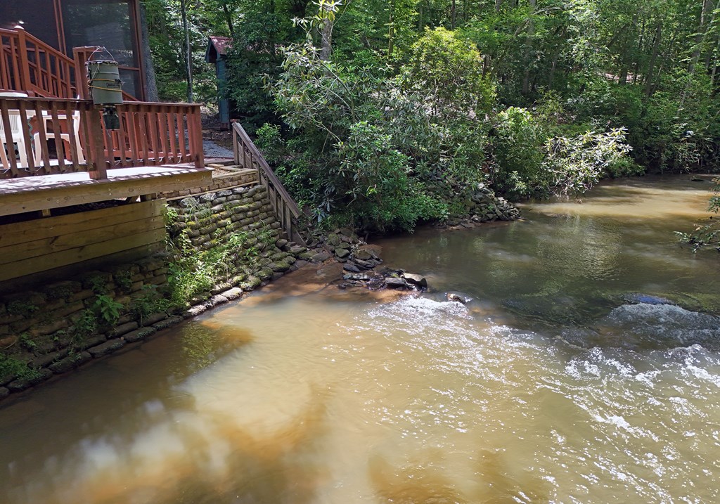 789 Old Mill Pond Road Mineral Bluff, GA 30559 - Photo 5 of 59