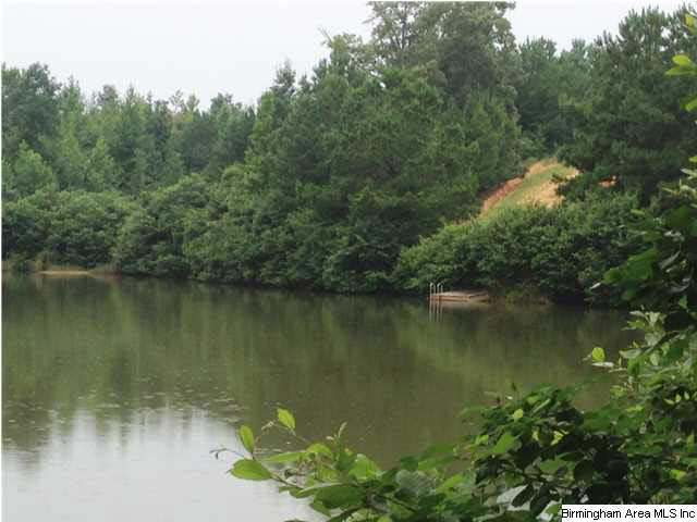73 County Road, Unit 195 Randolph, AL 36792 - Photo 7 of 13