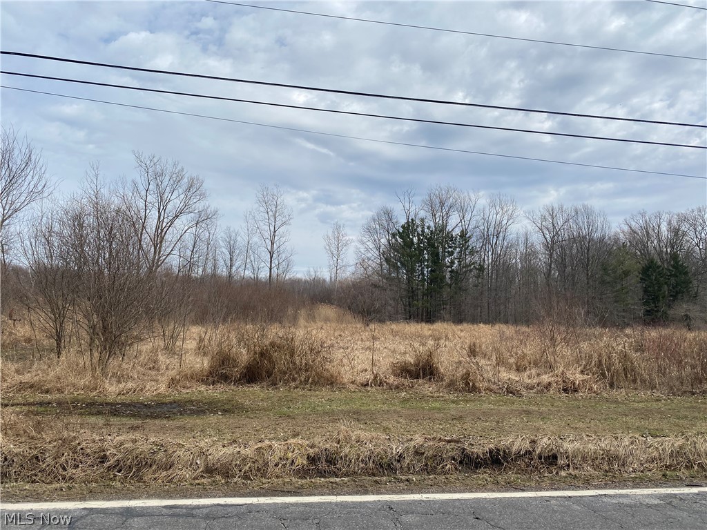 V/l Wood Road Madison, OH 44057 - Photo 1 of 5 Gallery Image 1