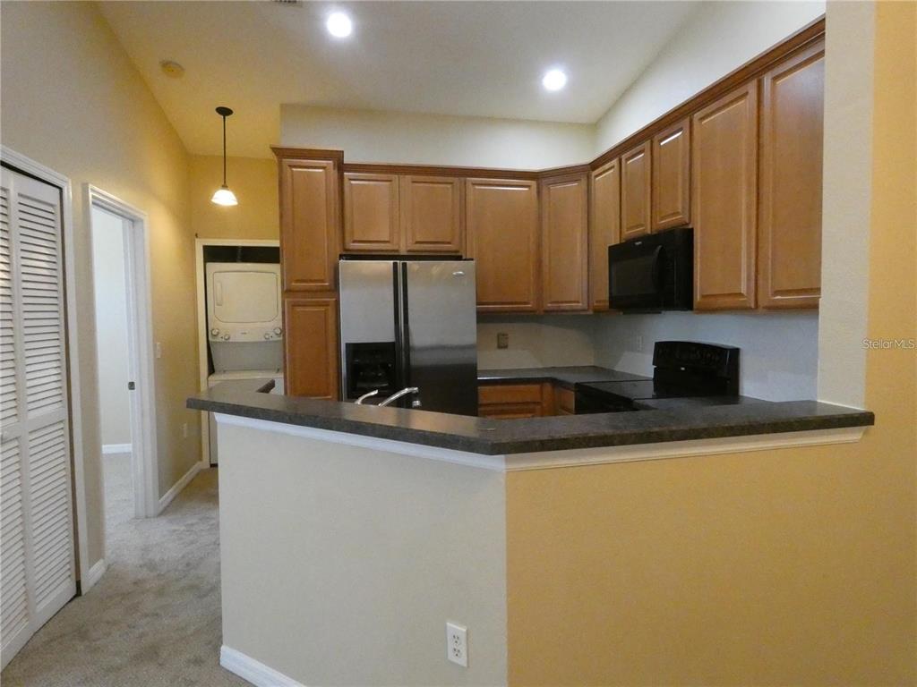 9092 Moonlit Meadows Loop Riverview, FL 33578 - Photo 4 of 13