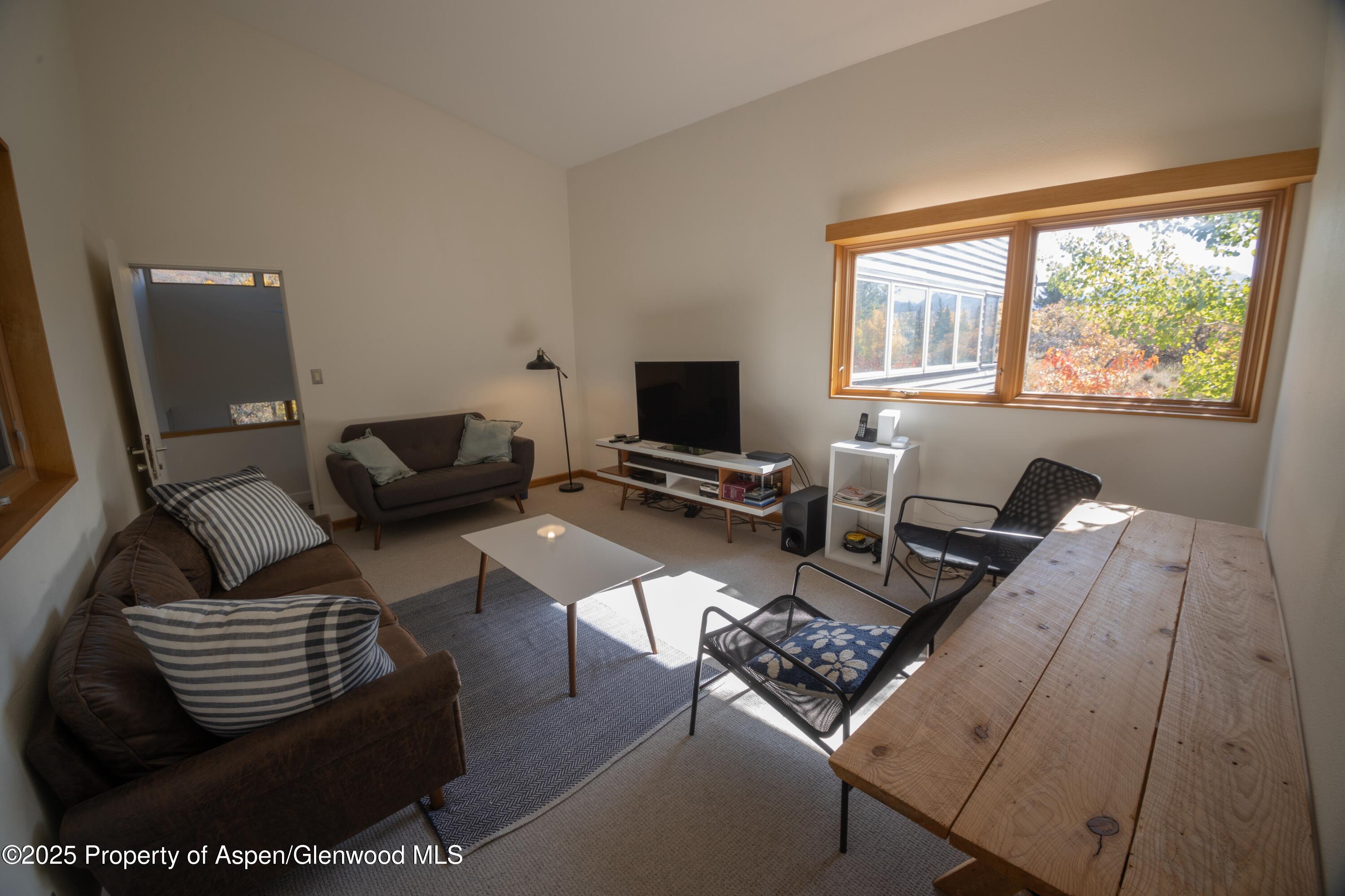 623 Johnson Drive Aspen, CO 81612 - Photo 17 of 35 a living room with furniture rug and a window
