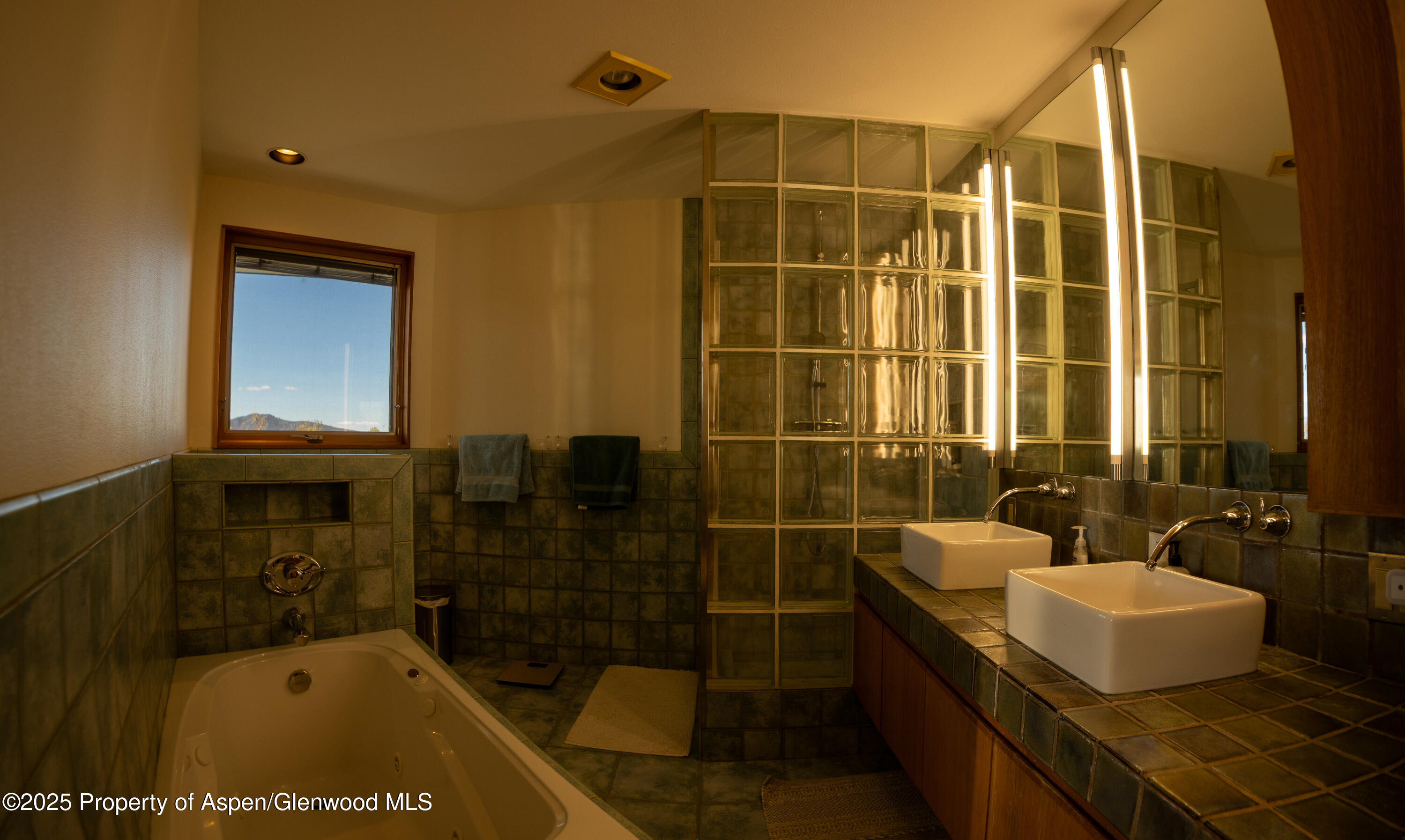 623 Johnson Drive Aspen, CO 81612 - Photo 21 of 35 a bathroom with a shower