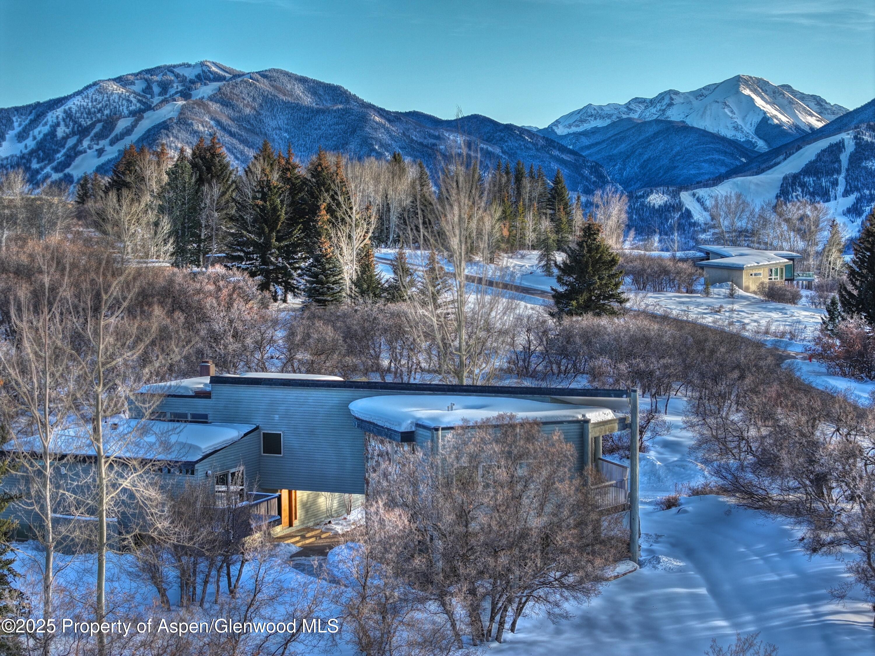 623 Johnson Drive Aspen, CO 81612 - Photo 3 of 35 a view of a backyard with plants and a tree