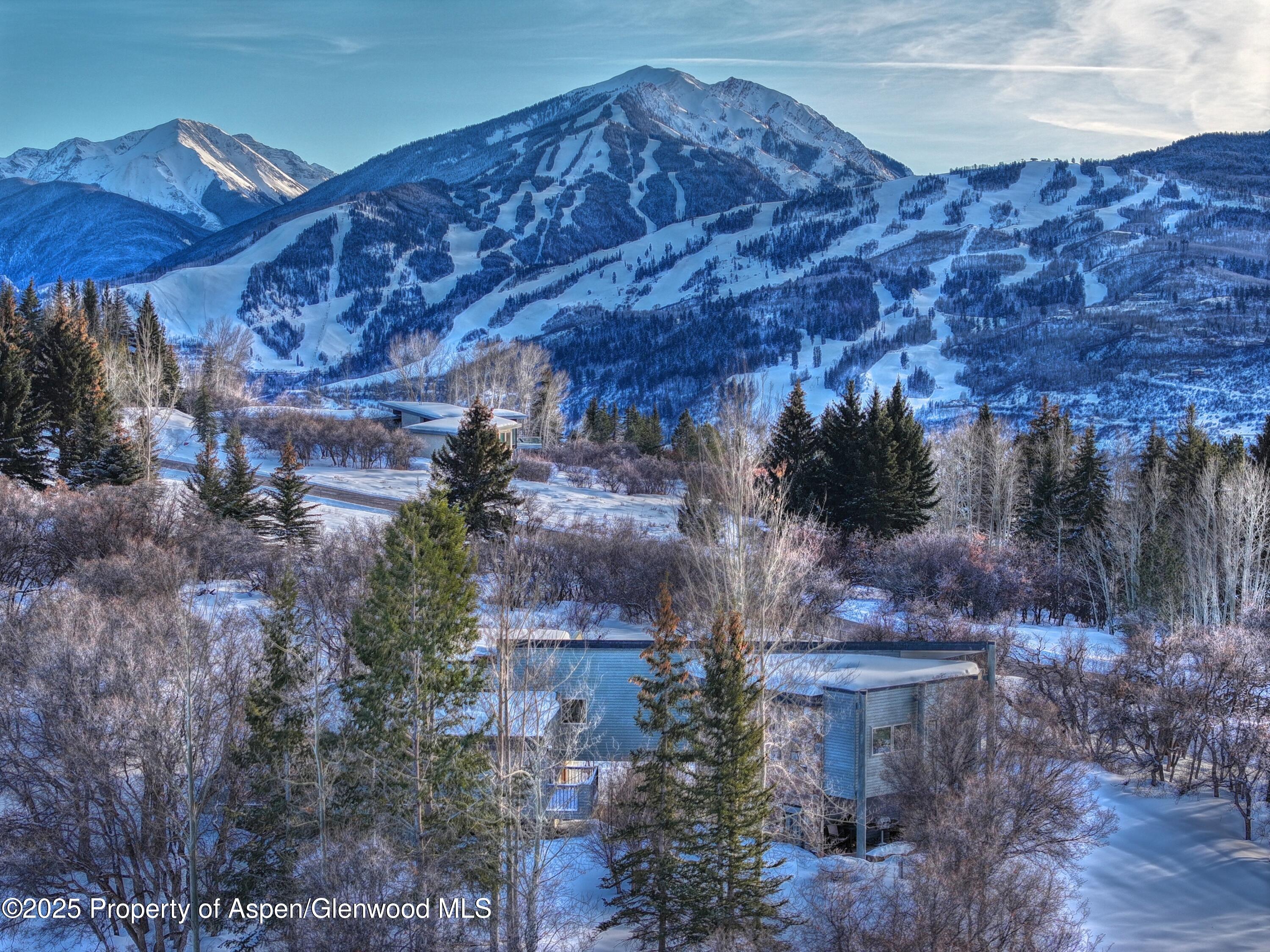 623 Johnson Drive Aspen, CO 81612 - Photo 5 of 35 a view of a outdoor space