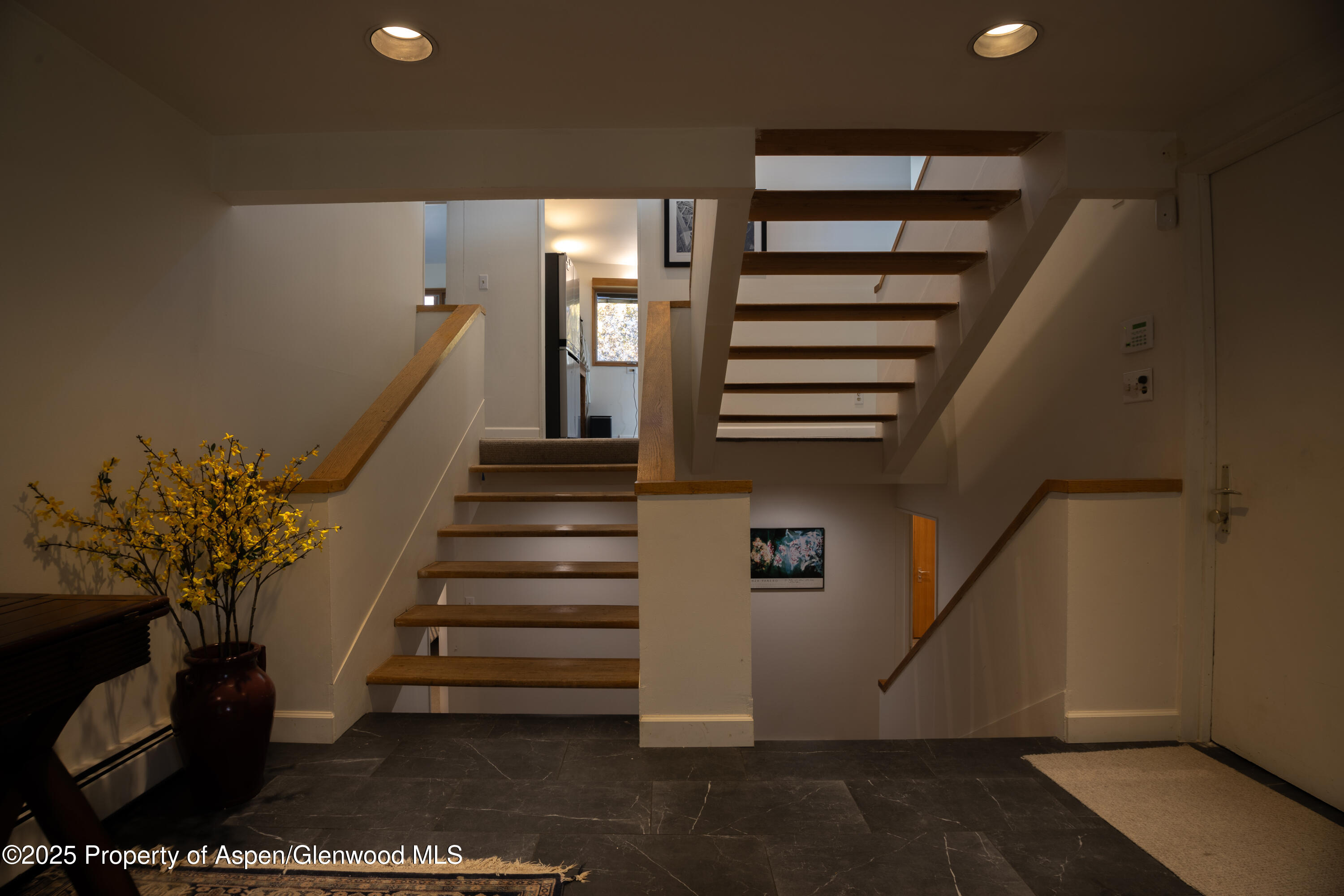 623 Johnson Drive Aspen, CO 81612 - Photo 8 of 35 a view of entryway