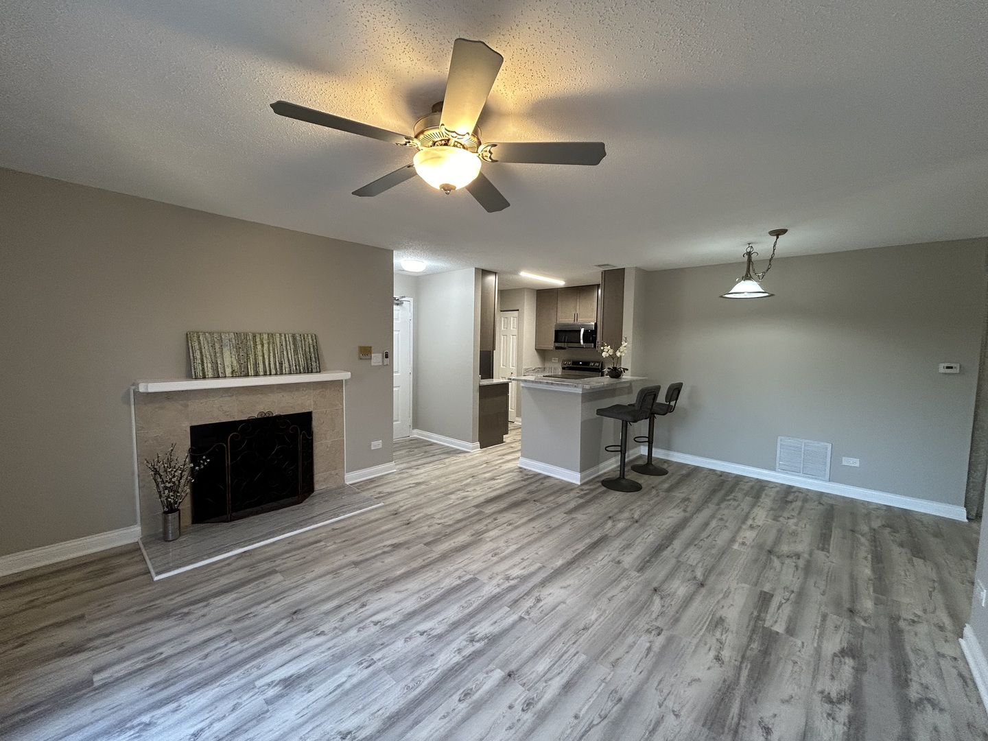 1905 North Hicks Road, Unit 208 Palatine, IL 60074 - Photo 4 of 30 Gallery Image 4