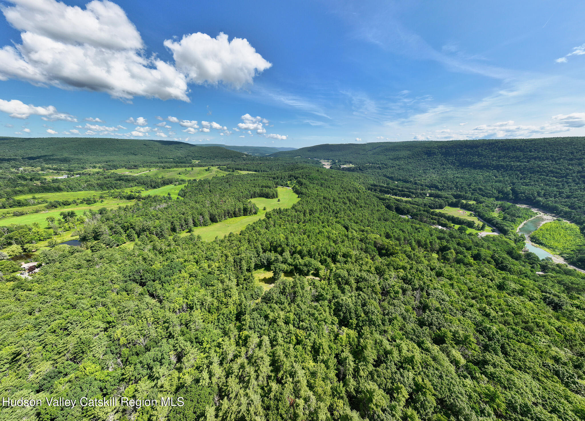 379 Stryker Road Gilboa, NY 12076 - Photo 11 of 22 DJI_20260720104614_0146_D