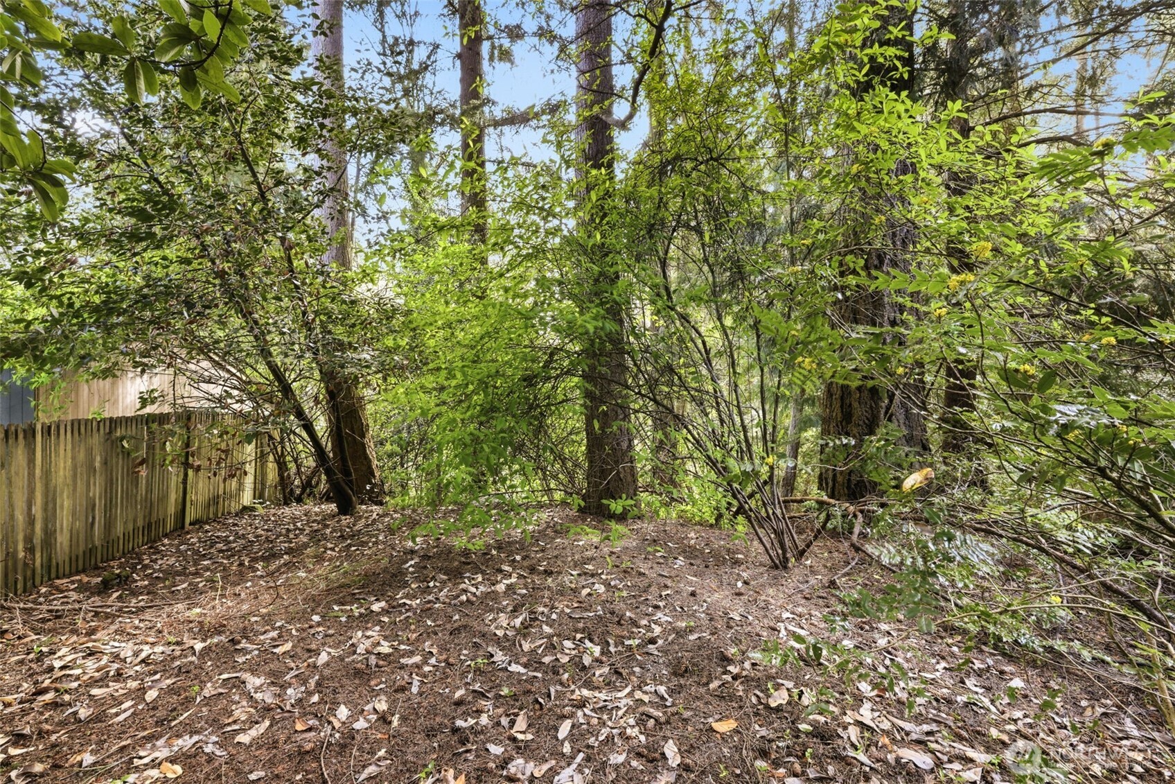 20319 92nd Avenue West Edmonds, WA 98020 - Photo 23 of 26 a view of a yard with plants and trees