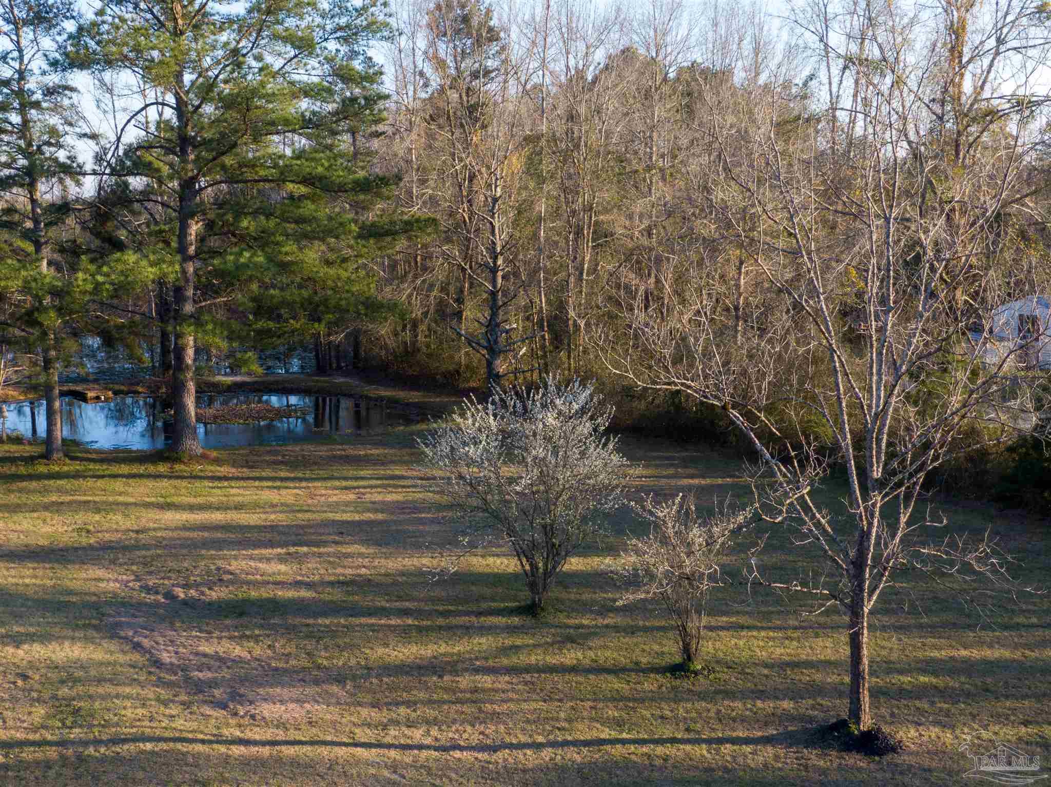 1017 Daffin Road Molino, FL 32577 - Photo 5 of 16 Gallery Image 5