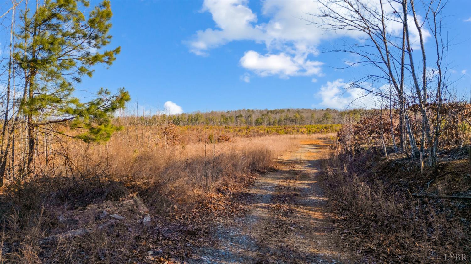 a view of a lake with a yard