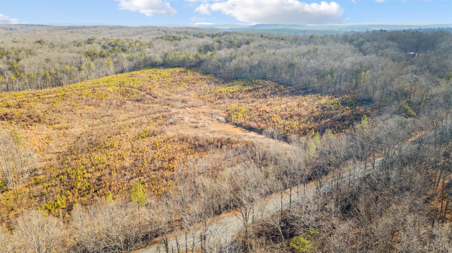 0 Evington Road Evington, VA 24550 - Photo 11 of 22 a view of a dry yard