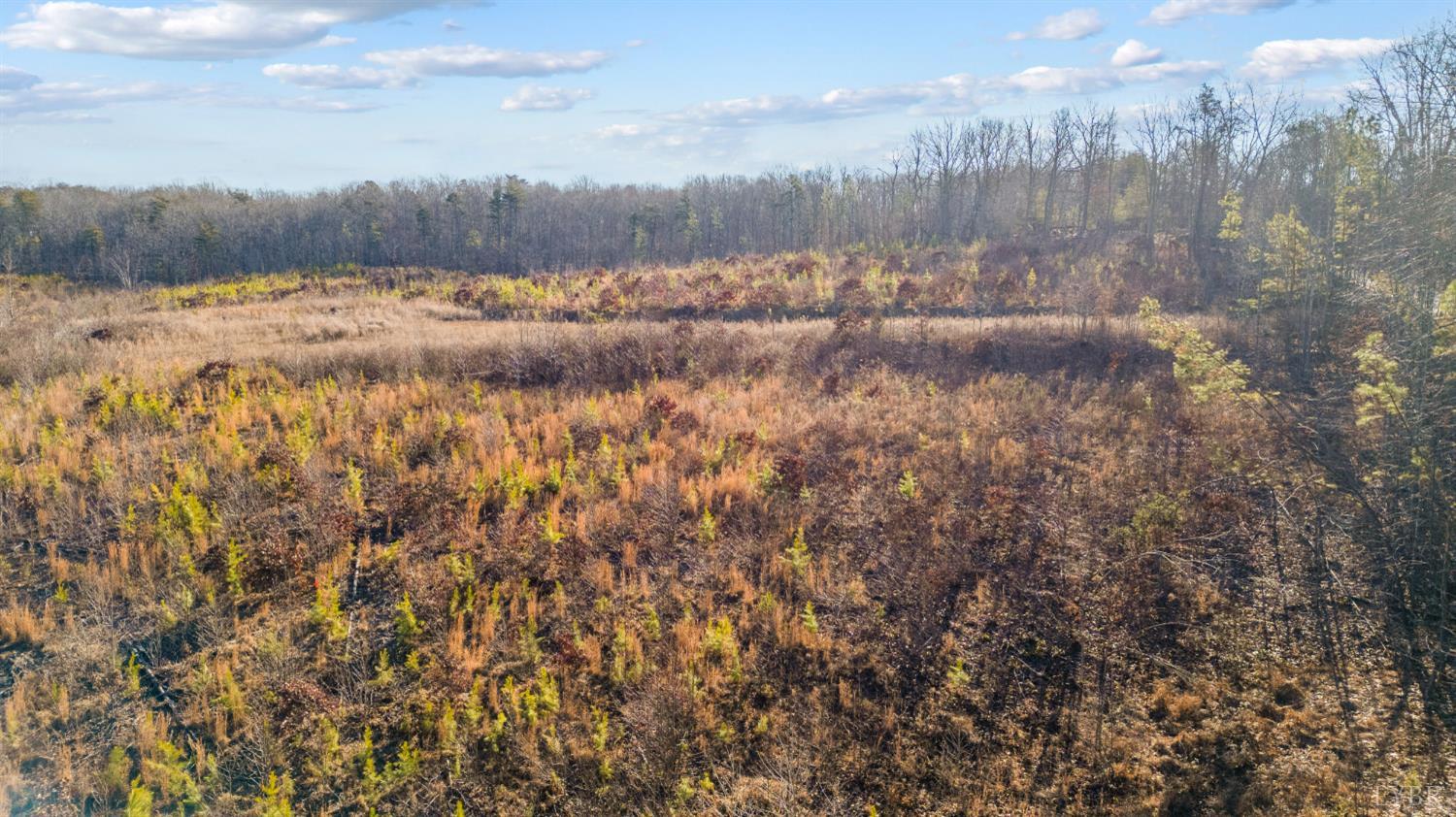0 Evington Road Evington, VA 24550 - Photo 17 of 22 a view of a yard