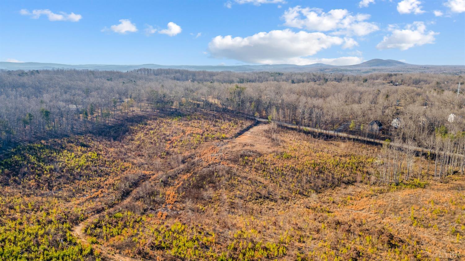 0 Evington Road Evington, VA 24550 - Photo 18 of 22 a view of a yard with mountains in the background