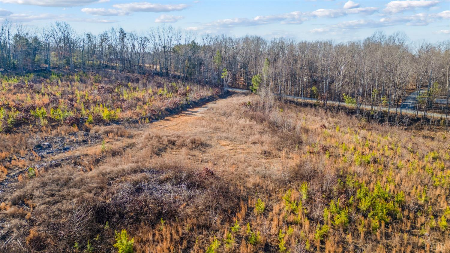 0 Evington Road Evington, VA 24550 - Photo 19 of 22 a view of backyard with green space and trees